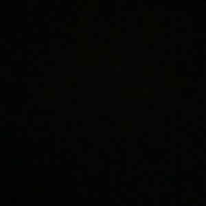 Meet your Posher, Damian